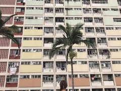-彩虹村