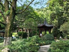 -一江春水·杭帮臻宴(三台山店)