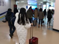 -哈尔滨太平国际机场
