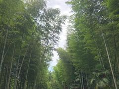 -黄公望隐居地