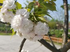 -江南大学(蠡湖校区)