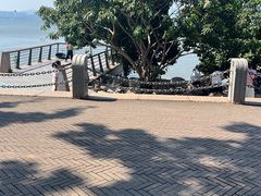 -深圳湾公园(南山区)
