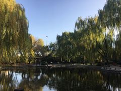 -玲珑塔公园