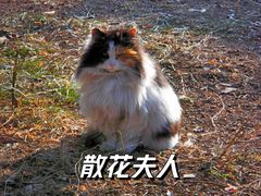 -大钟寺古钟博物馆