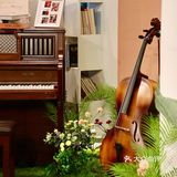 这‼️藏了一室“繁花”的春天💐