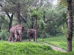 -北京野生动物园