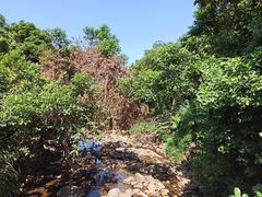 -梧桐山风景名胜区