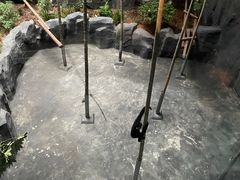 -武汉动物园