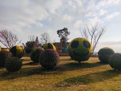 -荷兰花海