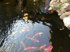 -鲤院·新中式美学·庭院餐厅(夫子庙店)
