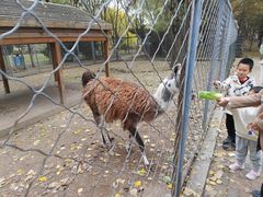 -长白岛森林公园