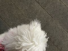 -瑞鹏宠物医院·超声·骨科·奇麟分院(蜀都万达店)