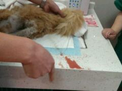 android_upload_pic-盛京一禾