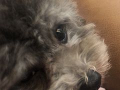 -敏敏足道(龙西路店)