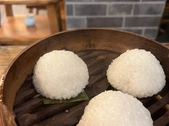 茨毛圆子-双塔老饭店