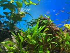 -太平洋海底世界