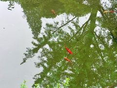 -老门东历史文化街区