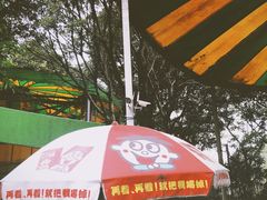 -晓港公园