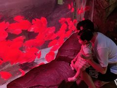-泉城欧乐堡海洋极地世界