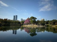 -四海公园(南山区)