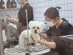 -BABIT巴比特宠物(MOMOPARK店)