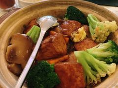 自制手工滑豆腐煲-T館·花园艺术餐厅