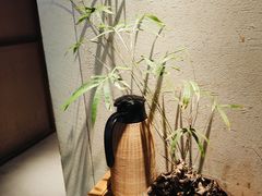 -竹里馆 ·茶食(奥体店)