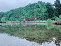 -白河湾生态旅游一条川