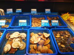 -必点海鲜·鲅鱼水饺(鞍山西道店)