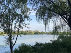 -大兴滨河森林公园