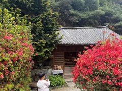 -苍山感通索道