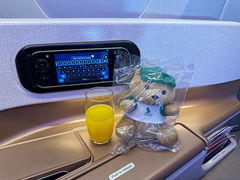 -新加坡航空公司(ION)