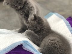 -星巴克臻选(南京艾尚天地店)