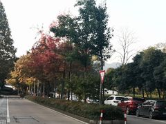 -随意茶庄·地道杭帮农家菜(梅家坞店)