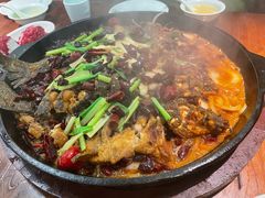 -老板恋上鱼(振华商厦店)