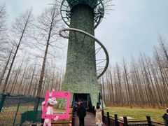 -黄海国家森林公园