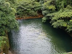 -鼎湖山风景区