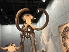 -浙江自然博物院(杭州馆)