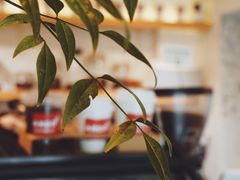 -Joymean coffee.见面咖啡