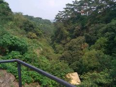 -牛鱼嘴原始生态风景区