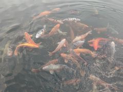 -章樾公园