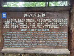 -峡谷浮石林景区