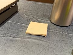 -红柳枝滩羊烧烤·非遗