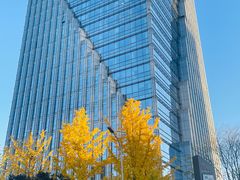 -小吊梨汤·北京菜·烤鸭(双井乐成中心店)