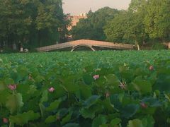 -西南交通大学(九里校区)