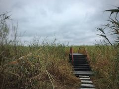 -鴜鹭湖生态旅游度假区