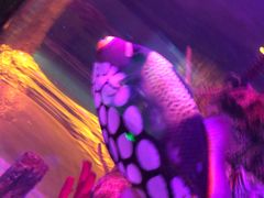 -沈阳海洋探索中心