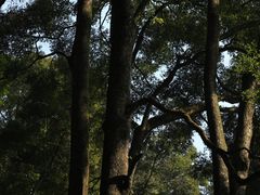 -青城山