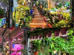 -朝来春花卉市场