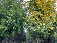 -济南国际园博园